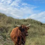 Vernieuwd Zeezicht Zee Luxe *