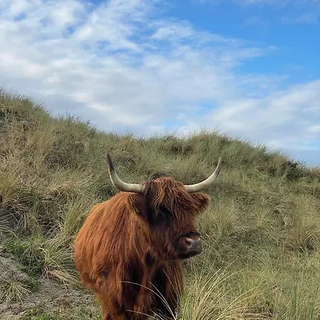 Vernieuwd Zeezicht Zee Luxe *